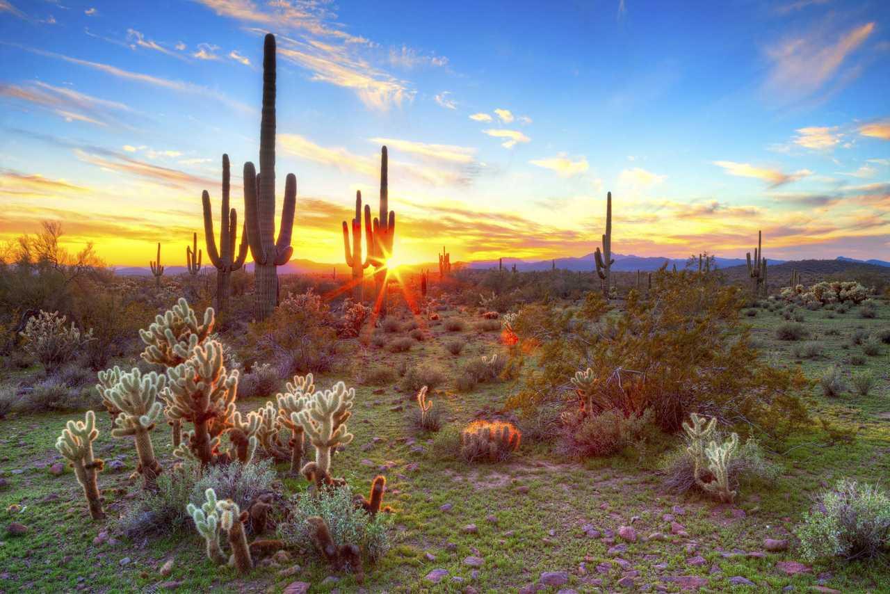 Cambria Hotel Phoenix Chandler - Fashion Center Bagian luar foto